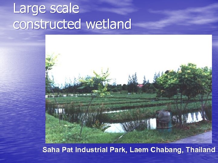 Large scale constructed wetland Saha Pat Industrial Park, Laem Chabang, Thailand 