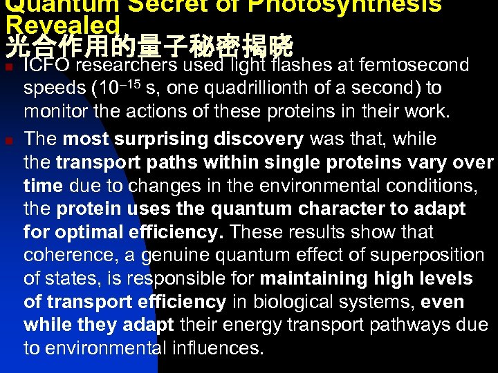 Quantum Secret of Photosynthesis Revealed 光合作用的量子秘密揭晓 n n ICFO researchers used light flashes at