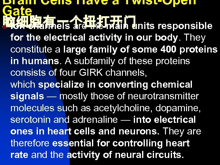 Brain Cells Have a Twist-Open Gate 脑细胞有一个扭打开门 n Ion channels are the main units