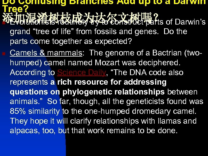 Do Confusing Branches Add up to a Darwin Tree? 添加混淆树枝成为达尔文树嗎？ n Evolutionists routinely try
