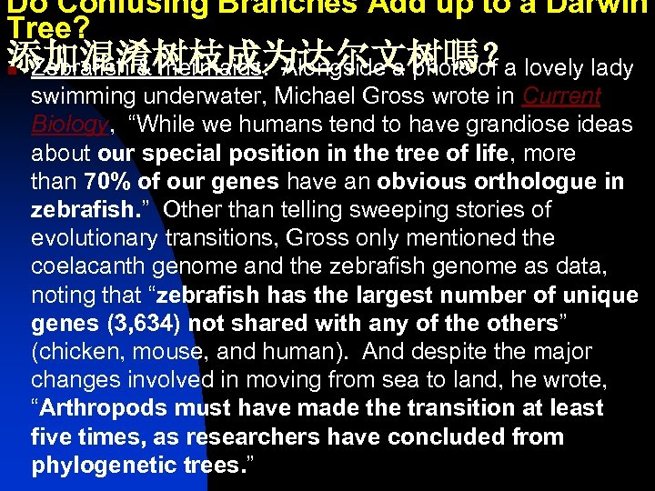 Do Confusing Branches Add up to a Darwin Tree? 添加混淆树枝成为达尔文树嗎？ n Zebrafish & mermaids:
