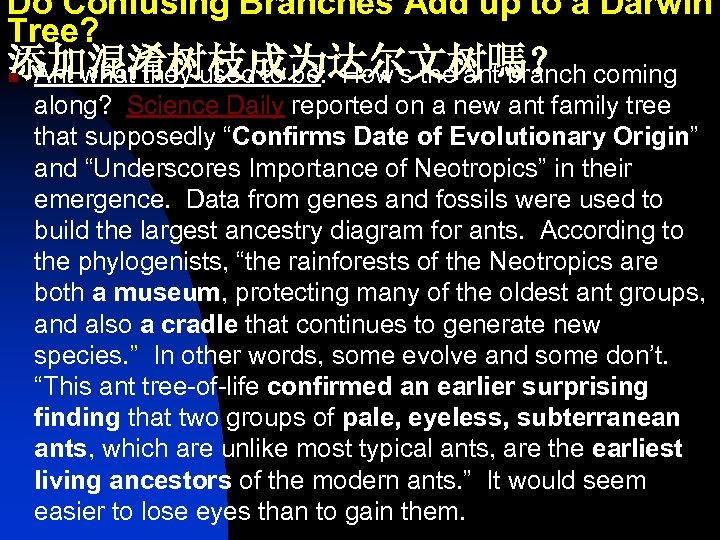 Do Confusing Branches Add up to a Darwin Tree? 添加混淆树枝成为达尔文树嗎？ n Ant what they