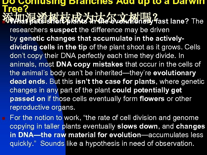 Do Confusing Branches Add up to a Darwin Tree? 添加混淆树枝成为达尔文树嗎？ What puts short plants