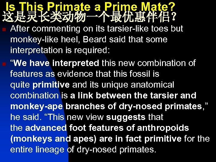  Is This Primate a Prime Mate? 这是灵长类动物一个最优惠伴侣？ n n After commenting on its