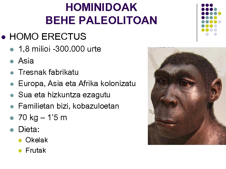 HOMINIDOAK BEHE PALEOLITOAN l HOMO ERECTUS l l l l 1, 8 milioi -300.