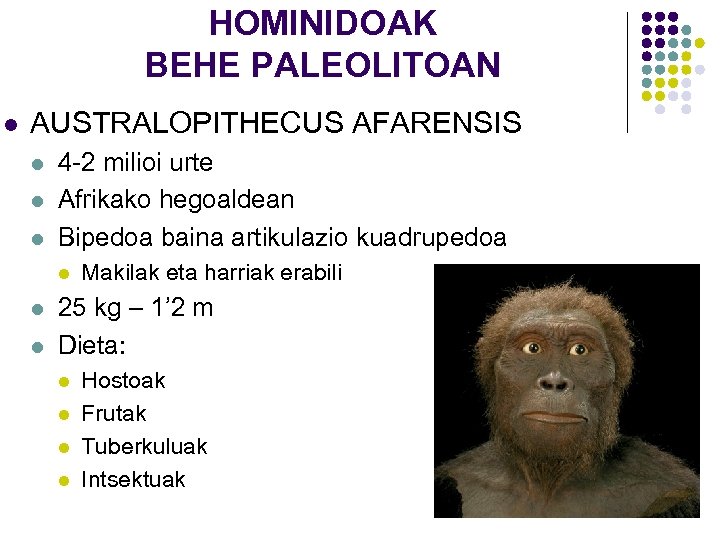 HOMINIDOAK BEHE PALEOLITOAN l AUSTRALOPITHECUS AFARENSIS l l l 4 -2 milioi urte Afrikako