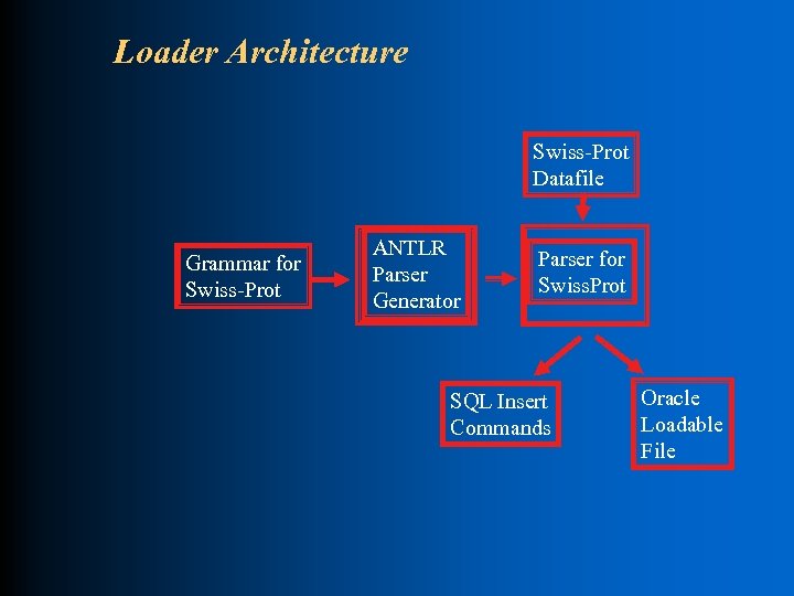 Loader Architecture Swiss-Prot Datafile Grammar for Swiss-Prot ANTLR Parser Generator Parser for Swiss. Prot