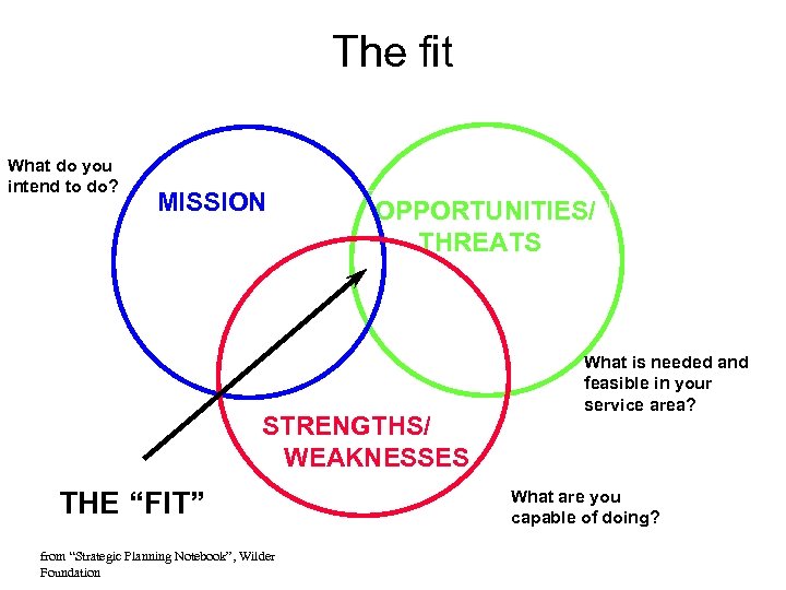 The fit What do you intend to do? MISSION OPPORTUNITIES/ THREATS STRENGTHS/ WEAKNESSES THE