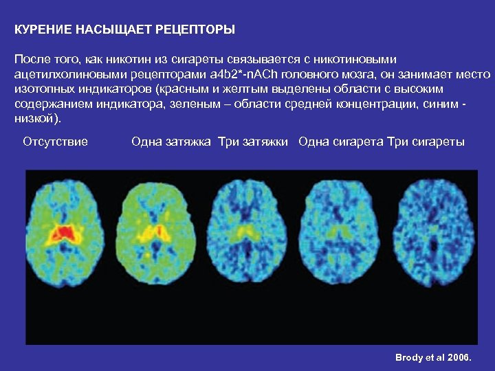 Рецепторы мозга. Курение и дофаминовые рецепторы. Никотин и рецепторы. Курение и никотиновые рецепторы. Механизм действия никотина на мозг.