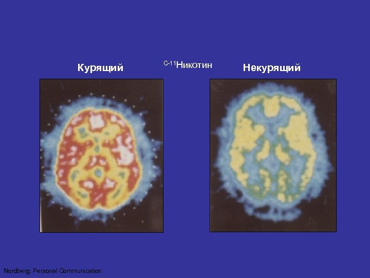 Курящий Nordberg; Personal Communication C-11 Никотин Некурящий 