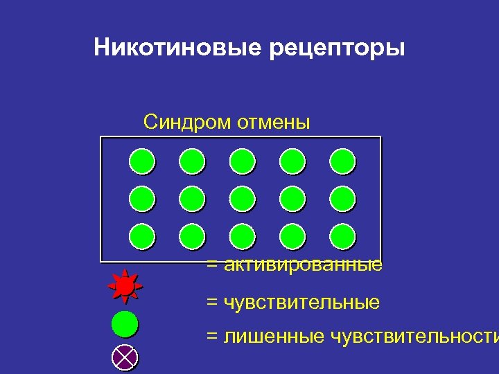 Никотиновые рецепторы Синдром отмены = активированные = чувствительные = лишенные чувствительности 