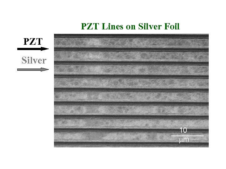 PZT Lines on Silver Foil PZT Silver 10 m 