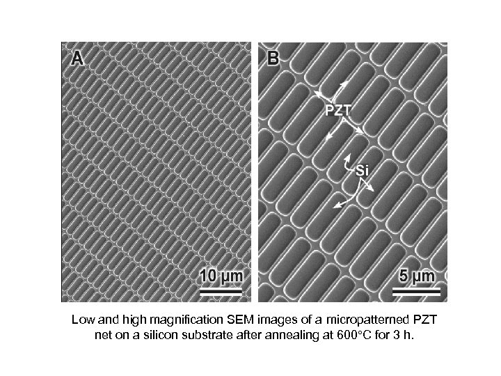 PZT 10 5 m Low and high magnification SEM images of a micropatterned PZT