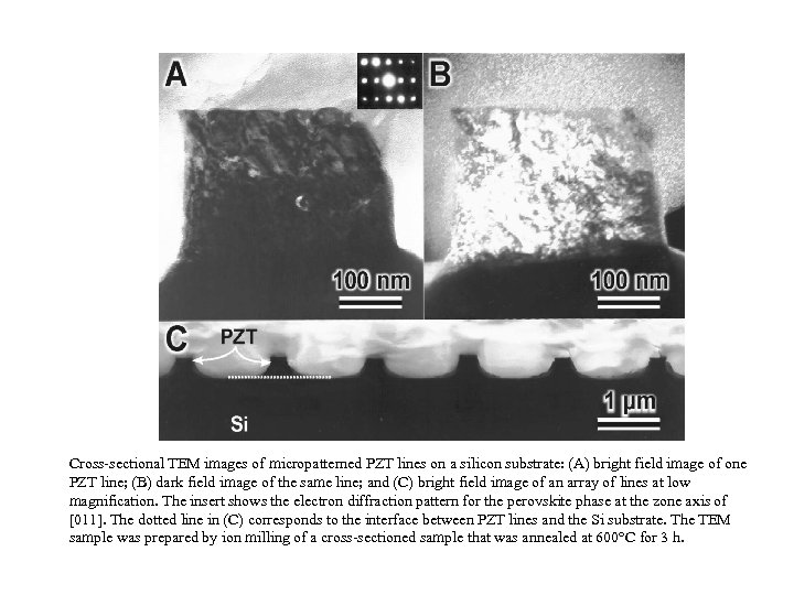 Cross-sectional TEM images of micropatterned PZT lines on a silicon substrate: (A) bright field