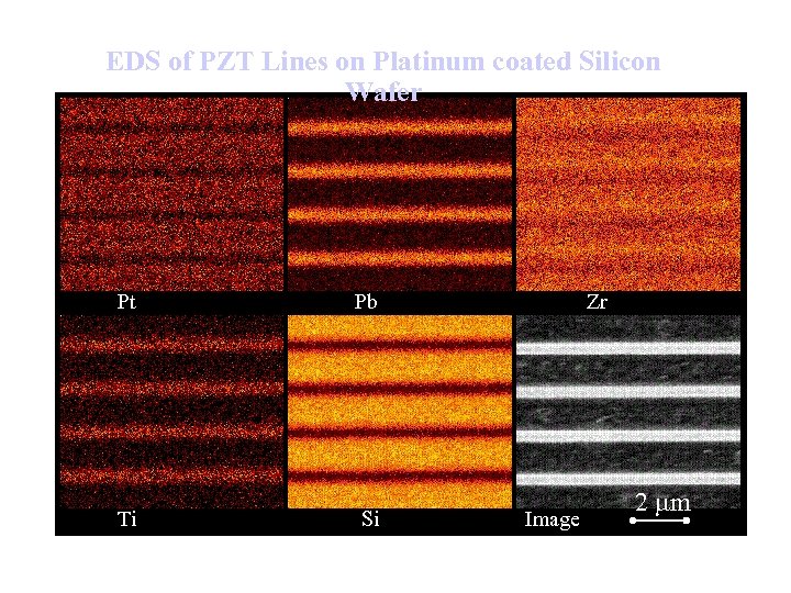 EDS of PZT Lines on Platinum coated Silicon Wafer Pt Pb Ti Si Zr