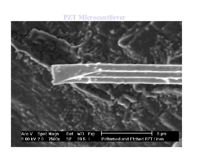 PZT Microcantilever 