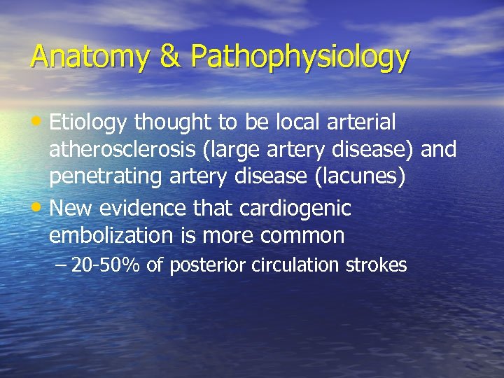 Anatomy & Pathophysiology • Etiology thought to be local arterial atherosclerosis (large artery disease)