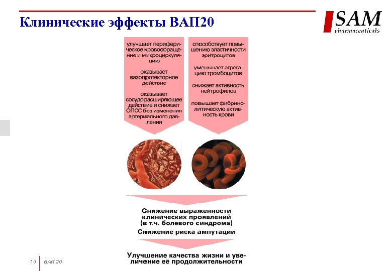 Клинические эффекты ВАП 20 10 ВАП 20 