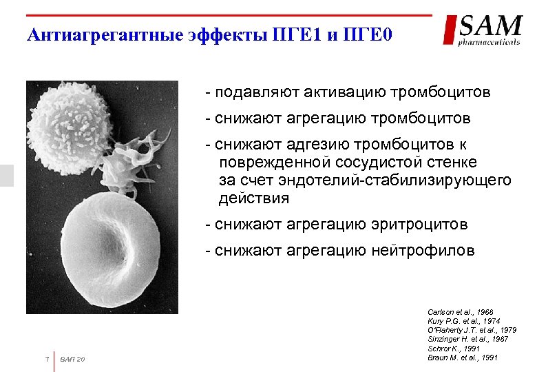 Влияние чая и кофе на активацию тромбоцитов проект