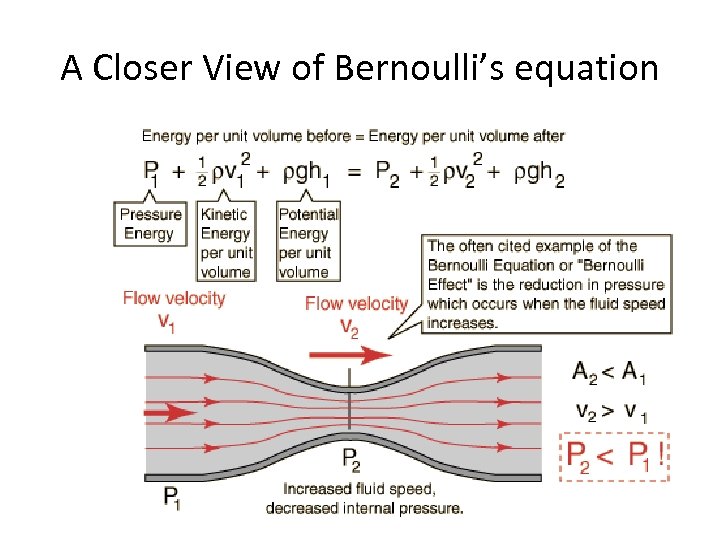 A Closer View of Bernoulli’s equation 