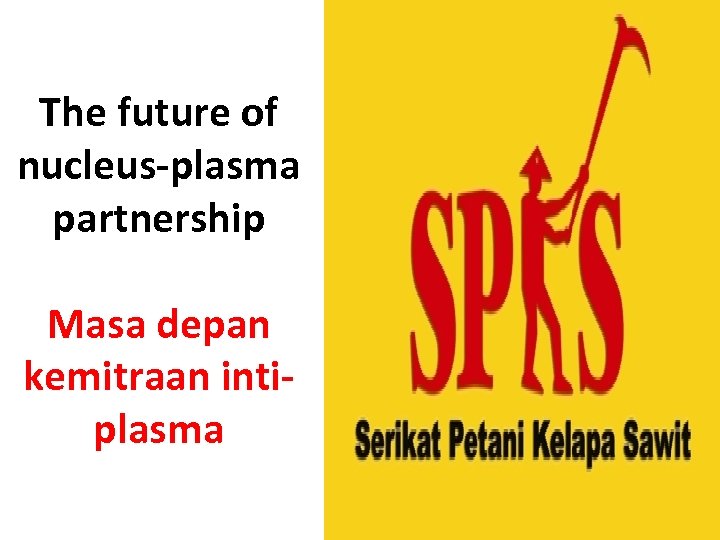 The future of nucleus-plasma partnership Masa depan kemitraan intiplasma 
