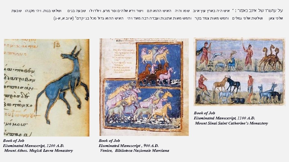  על עושרו של איוב נאמר : “ איש היה בארץ עוץ איוב שמו