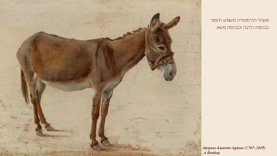  משחר ההיסטוריה משמש החמור כבהמת רכיבה וכבהמת משא. )9481– 7671( Jacques-Laurent Agasse A