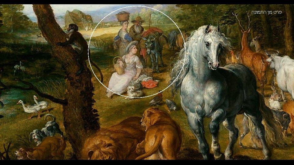  פרט מן התמונה 