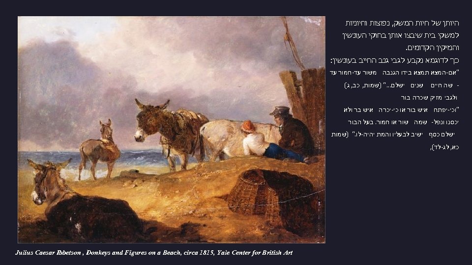  היותן של חיות המשק, נפוצות וחיוניות למשקי בית שיבצו אותן בחוקי העונשין והנזיקין