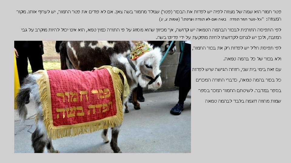  פטר חמור הוא שמה של מצווה לפיה יש לפדות את הבכור )פטר( שנולד