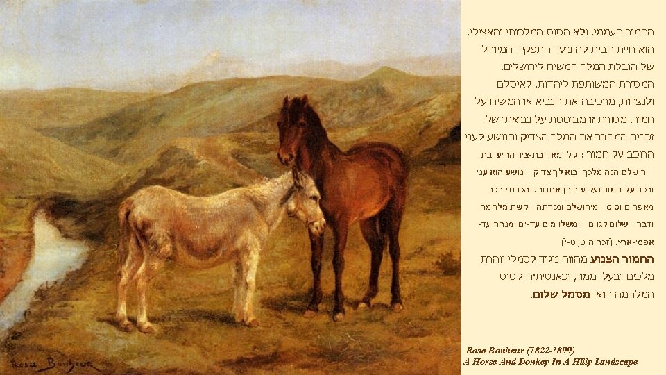  החמור העממי, ולא הסוס המלכותי והאצילי, הוא חיית הבית לה נועד התפקיד המיוחל