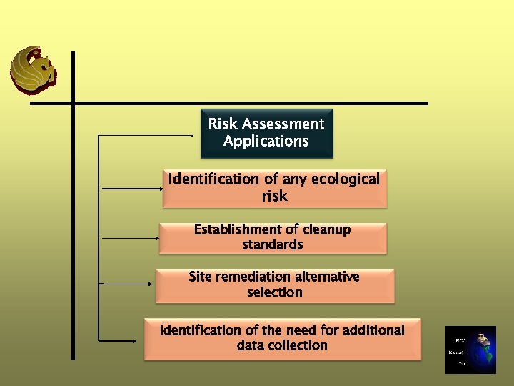 Risk Assessment Applications Identification of any ecological risk Establishment of cleanup standards Site remediation