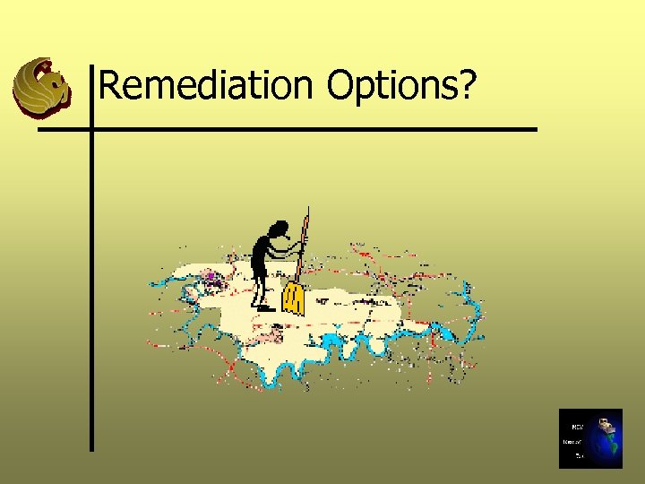 Remediation Options? 