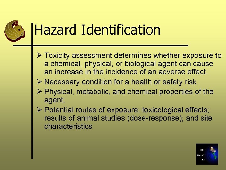 Hazard Identification Ø Toxicity assessment determines whether exposure to a chemical, physical, or biological
