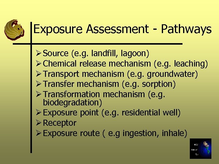Exposure Assessment - Pathways Ø Source (e. g. landfill, lagoon) Ø Chemical release mechanism