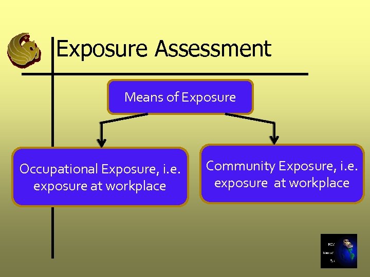 Exposure Assessment Means of Exposure Occupational Exposure, i. e. exposure at workplace Community Exposure,