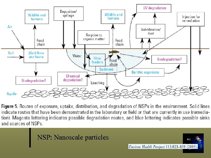 NSP: Nanoscale particles 