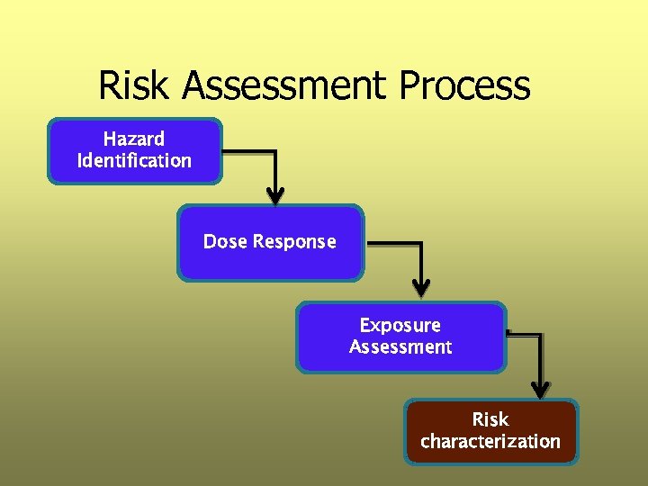 Risk Assessment Process Hazard Identification Dose Response Exposure Assessment Risk characterization 