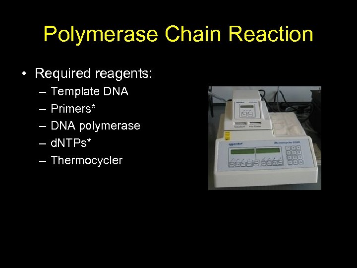 Polymerase Chain Reaction • Required reagents: – – – Template DNA Primers* DNA polymerase
