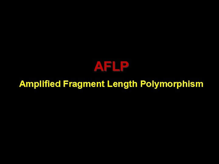 AFLP Amplified Fragment Length Polymorphism 