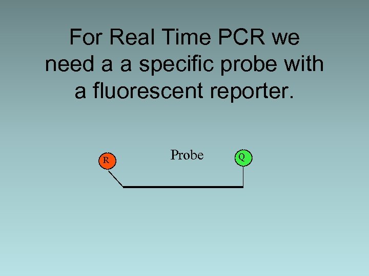 For Real Time PCR we need a a specific probe with a fluorescent reporter.