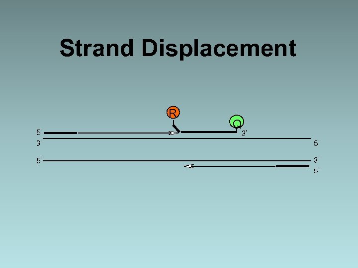 Strand Displacement R 5 3 5 Q 3 5 