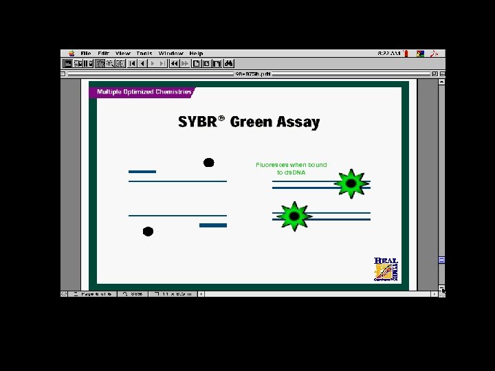 Fluoresces when bound to ds. DNA 