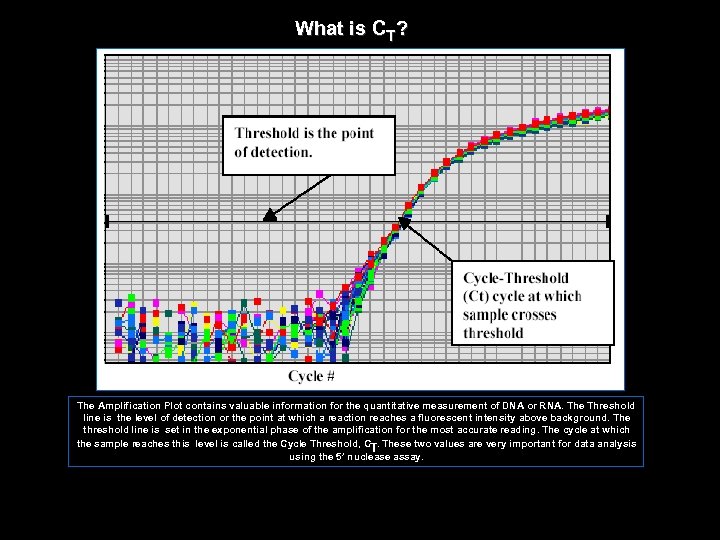 What is CT? The Amplification Plot contains valuable information for the quantitative measurement of