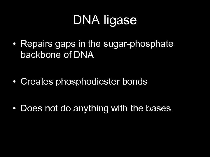 DNA ligase • Repairs gaps in the sugar-phosphate backbone of DNA • Creates phosphodiester