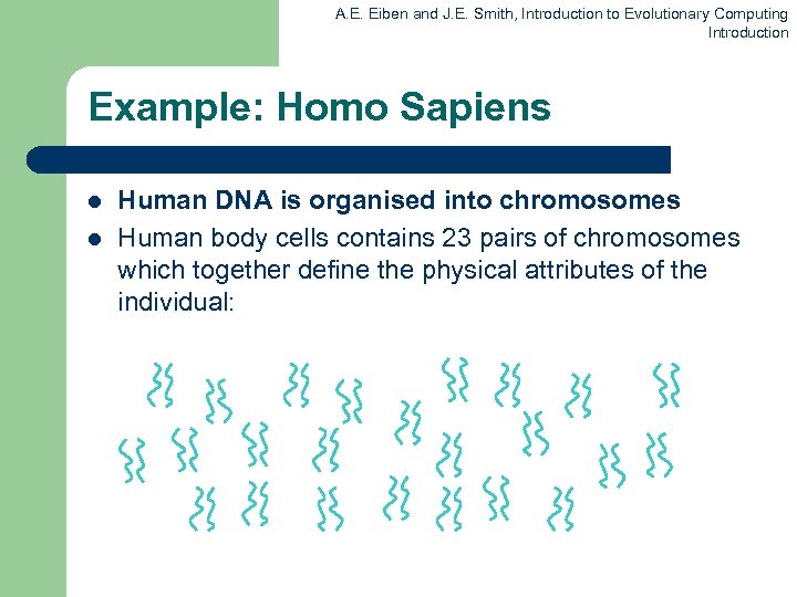 A. E. Eiben and J. E. Smith, Introduction to Evolutionary Computing Introduction Example: Homo