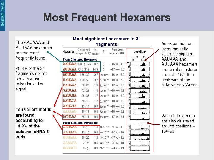 INSERM TAGC Most Frequent Hexamers 