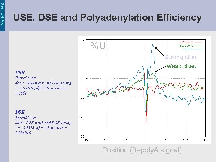 INSERM TAGC USE, DSE and Polyadenylation Efficiency %U Strong sites Weak sites USE Paired