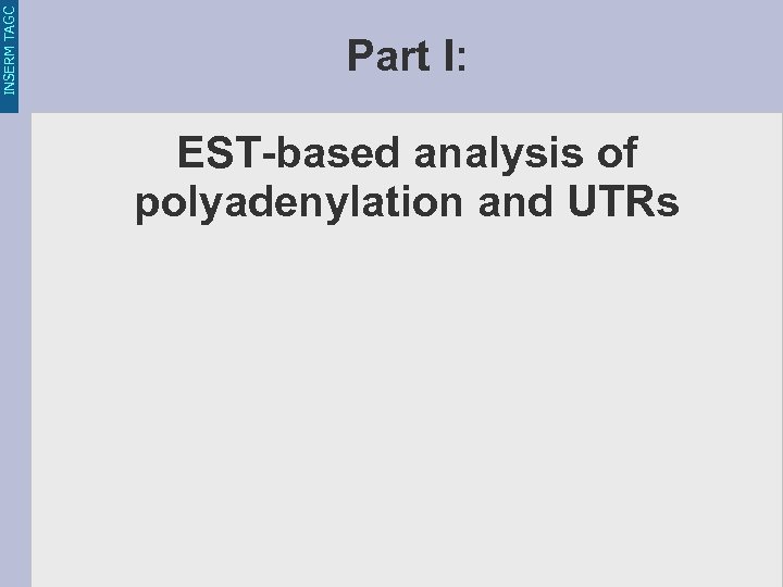 INSERM TAGC Part I: EST-based analysis of polyadenylation and UTRs 