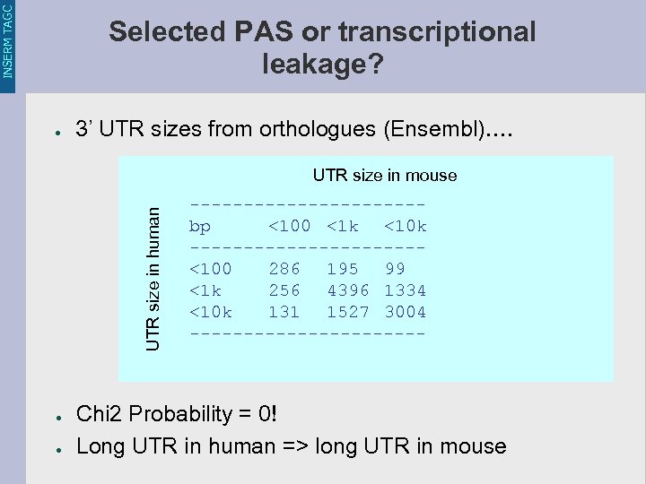 INSERM TAGC Selected PAS or transcriptional leakage? ● 3’ UTR sizes from orthologues (Ensembl)….